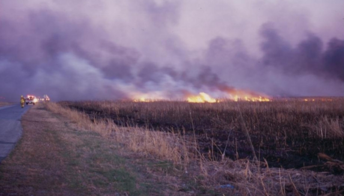 A wildfire at Prime Hook National Wildlife Refuge in Delaware.