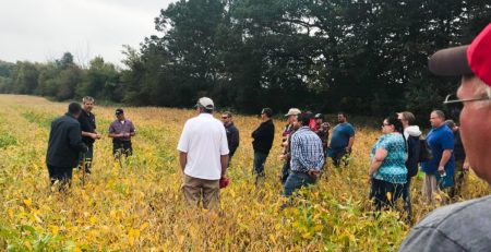 a group of participants in a field examine cover crops