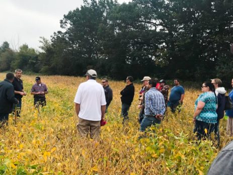 a group of participants in a field examine cover crops