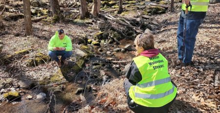 Master Watershed Stewards examine a creek