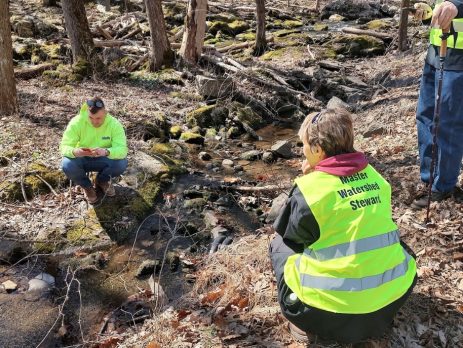 Master Watershed Stewards examine a creek