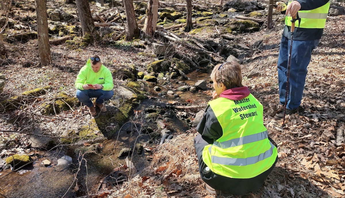 Master Watershed Stewards examine a creek
