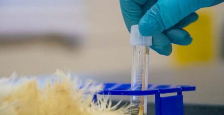 Scientists test a sample for C. perfringens at the MAFES H. H. Leveck Animal Research Center.