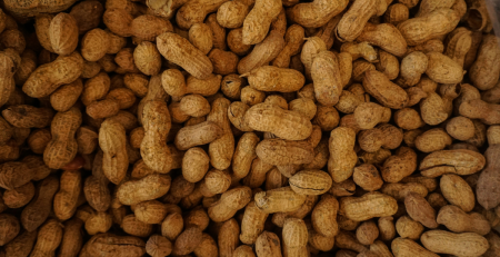 peanuts