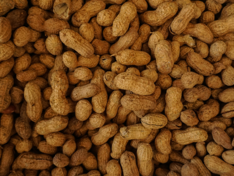 peanuts