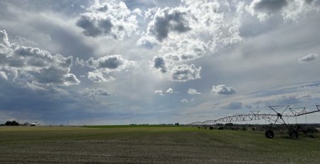 irrigation of a field