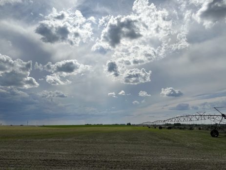 irrigation of a field