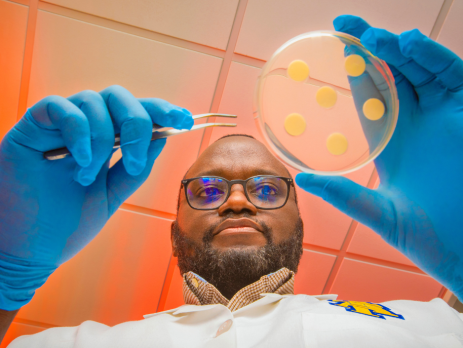 a scientist examines samples in a petri dish
