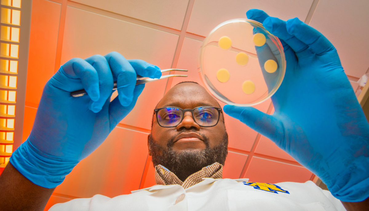 a scientist examines samples in a petri dish