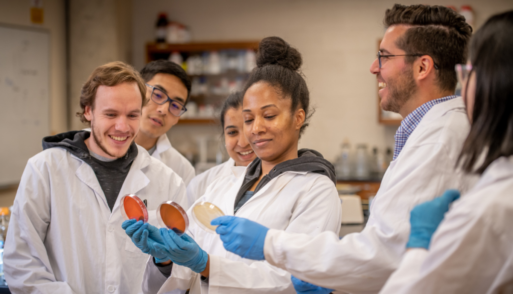 a group of scientists look at samples of petri dishes