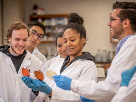 a group of scientists look at samples of petri dishes