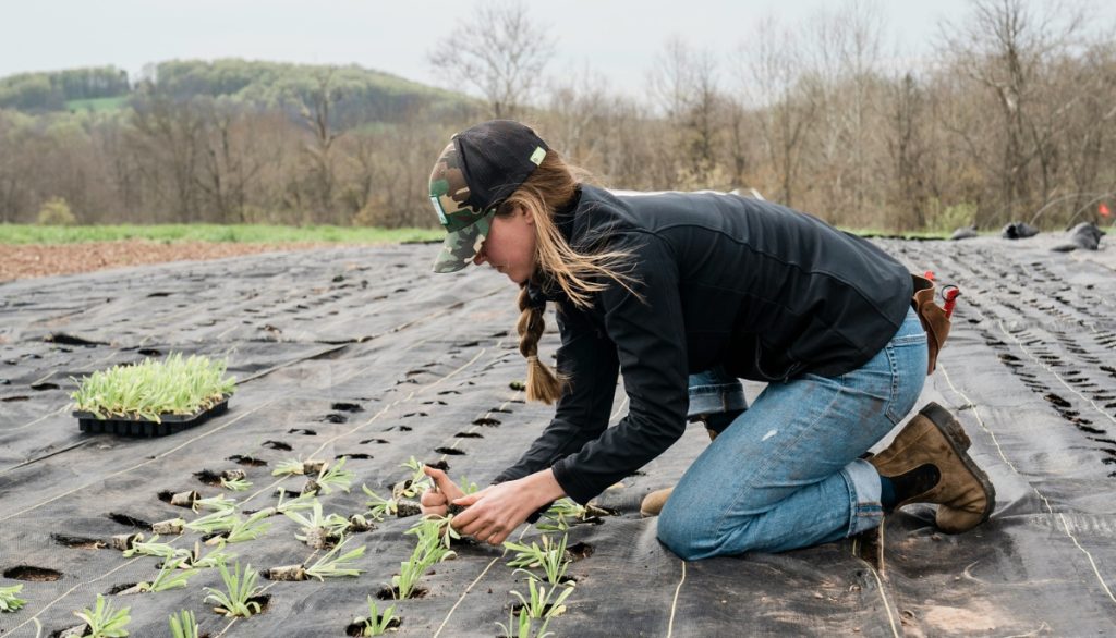 a farmer planting