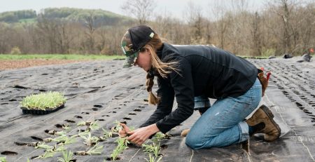 a farmer planting