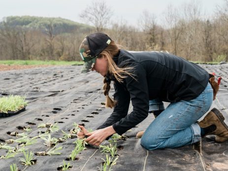 a farmer planting