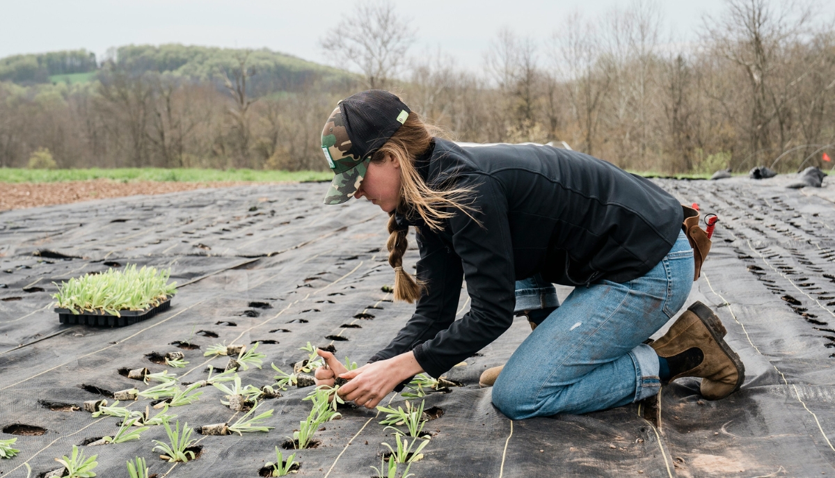 a farmer planting