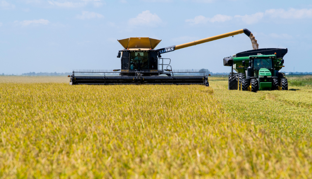 rice harvester