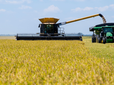rice harvester