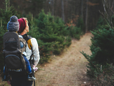 person hiking wearing a baby carrier