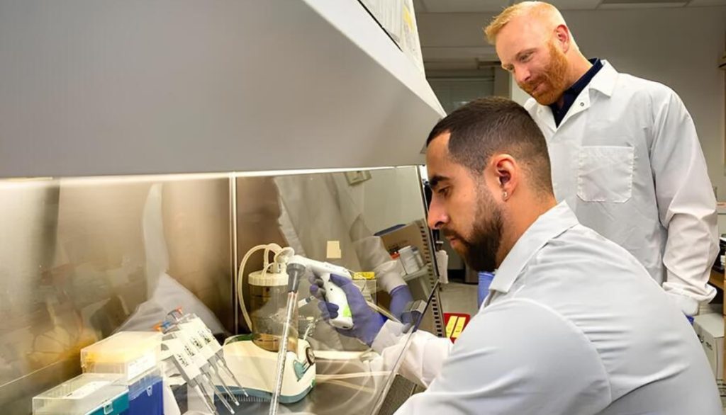 Lead author and Ph.D. candidate Matt Bolino (left), working under the mentorship of microbiologist Steven Frese (standing), led the lab experiments comparing how the structural differences between lab-made whey protein and the kind that comes from cows affect gut microbes.