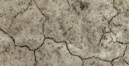 dry, cracked soil