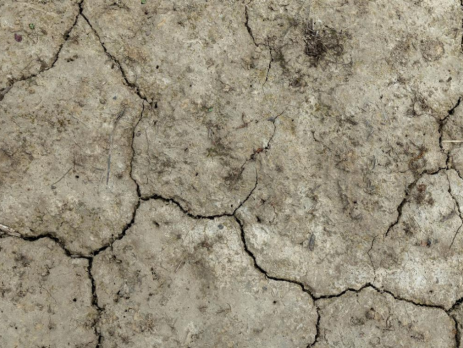 dry, cracked soil