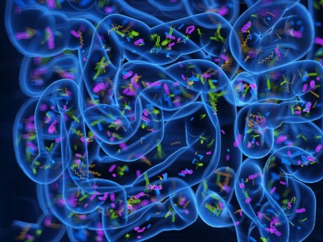 3d rendered medical illustration of the microbiome of the small intestine