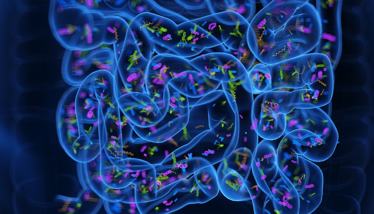 3d rendered medical illustration of the microbiome of the small intestine