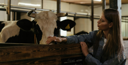 a woman farmer checks on a cow