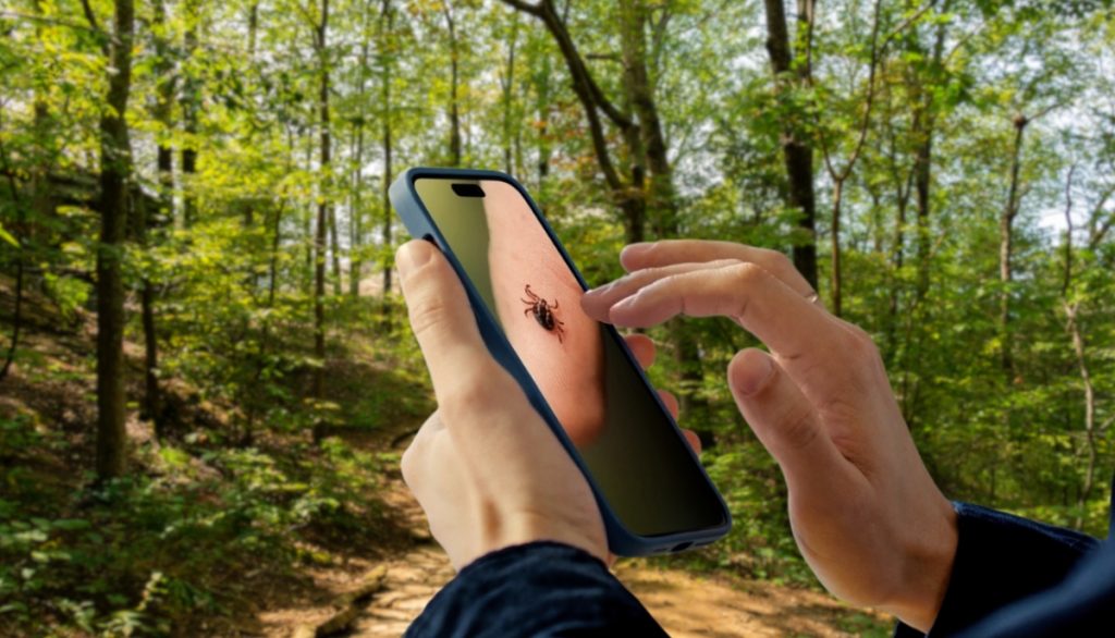 a person looks at a phone screen with a photo of a tick in a wooded area