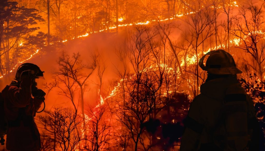 wildland firefighters