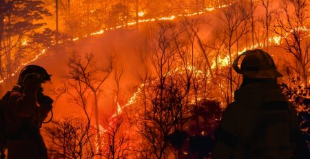 wildland firefighters