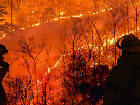 wildland firefighters