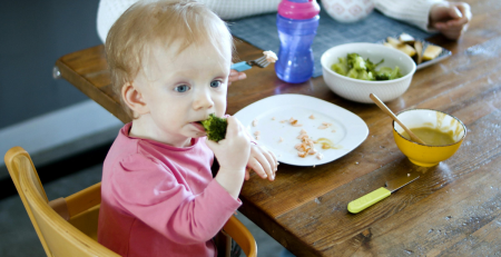 a young child in a highchair eats a piece of broccoli