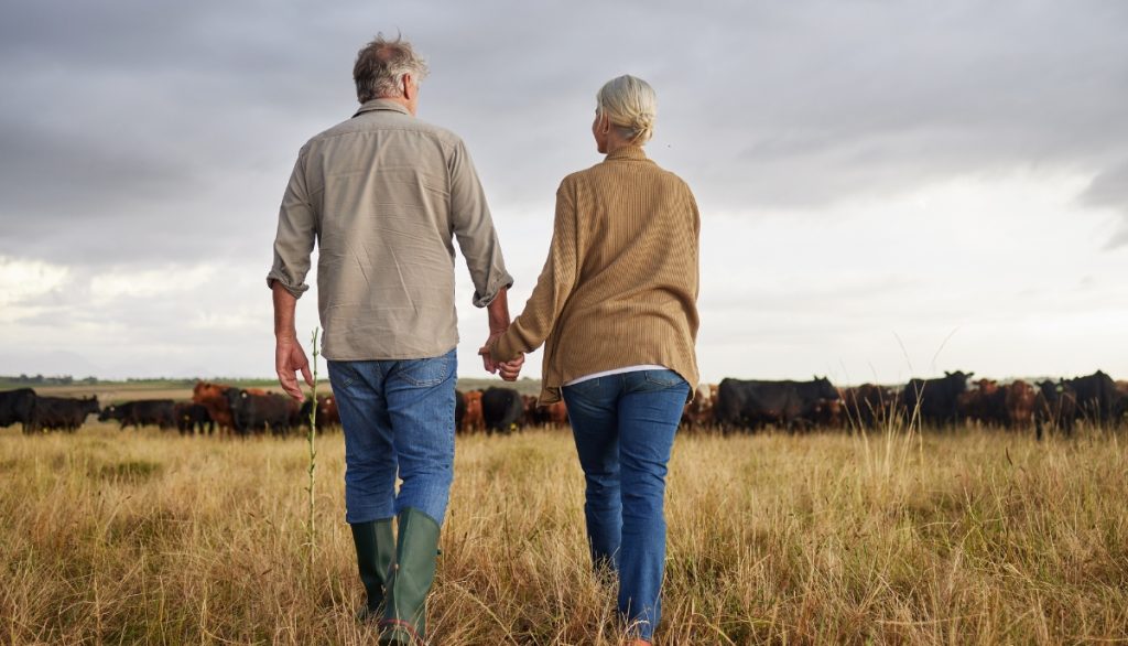 a senior couple holds hands and looks at their land