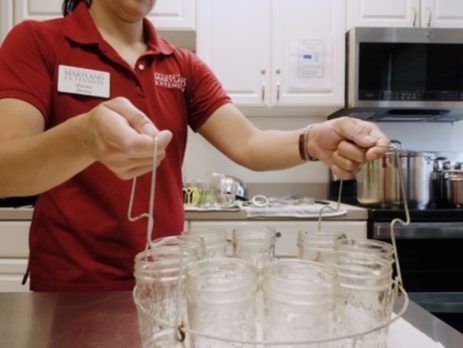 UME Agent, Shauna Henley, preparing mason jars for sterilization