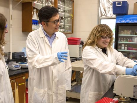 scientists working in the lab