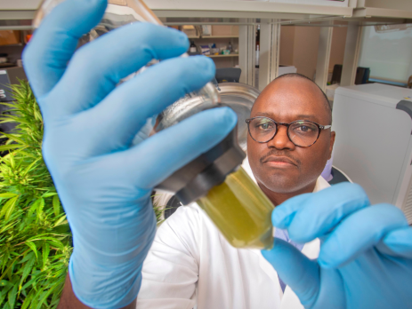 a scientist examines a sample