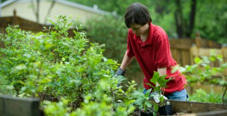 a young boy gardening