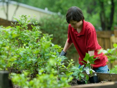 a young boy gardening