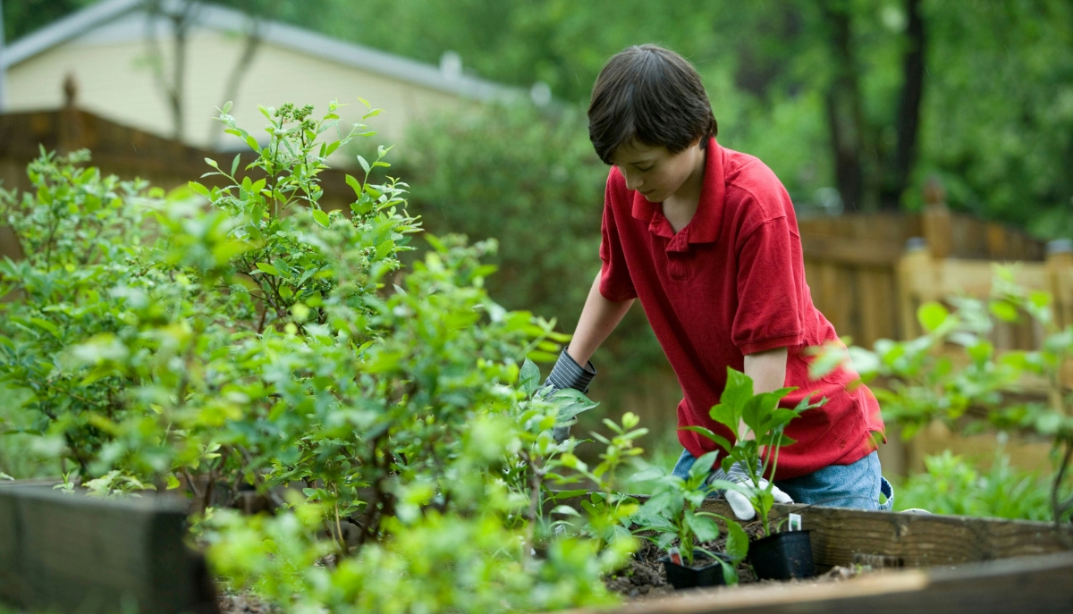 a young boy gardening