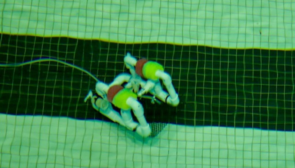 An underwater remotely operated vehicle, or ROV, runs though one of its underwater challenges at the SeaPerch regional competition hosted by Louisiana 4-H.