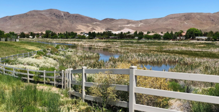a marshy landscape with mountains in the distance