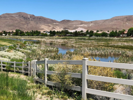 a marshy landscape with mountains in the distance