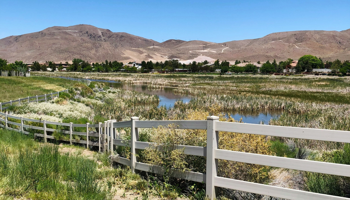 a marshy landscape with mountains in the distance