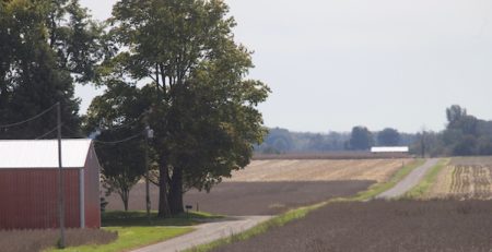 telephone wires in farmland