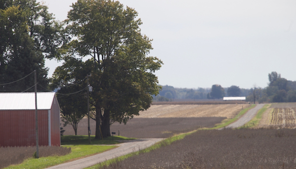 telephone wires in farmland
