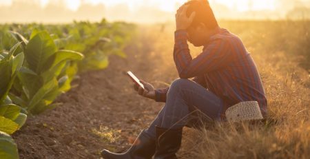 a stressed farmer looking at a phone