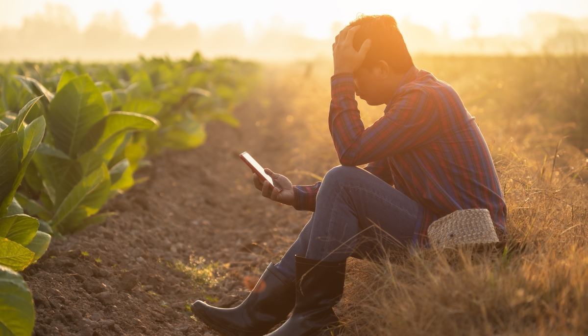 a stressed farmer looking at a phone