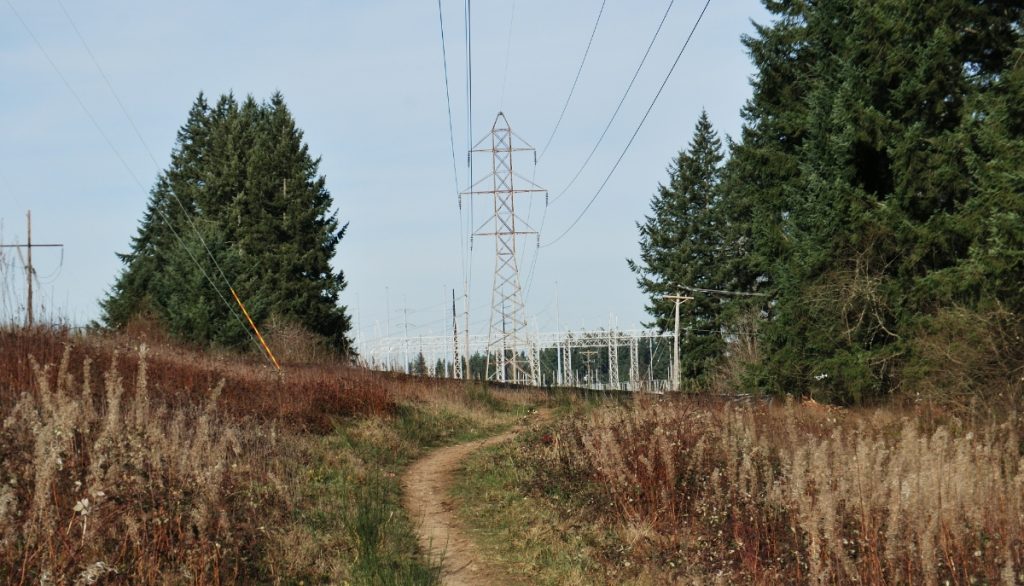 power lines in a field