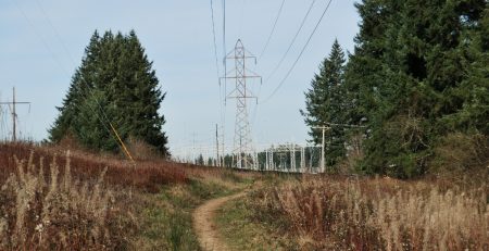 power lines in a field
